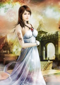 入贅神婿